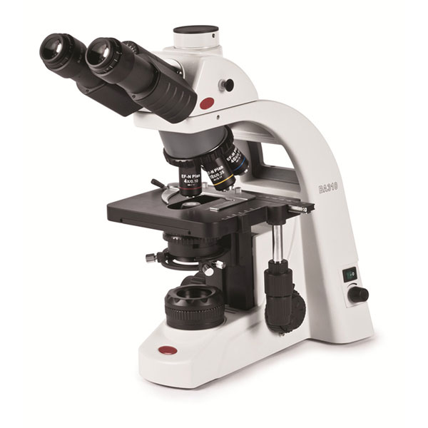 Precision Trinocular Microscope Image